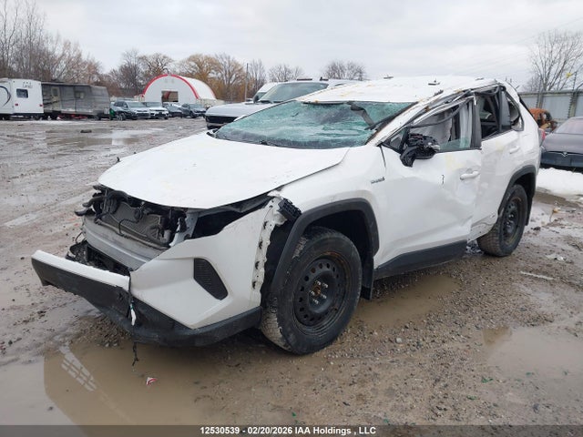 2021 Toyota Rav4 Le მანქანა იყიდება აუქციონზე, vin: 2T3BWRFV3MW106460, აუქციონის ნომერი: 12530539