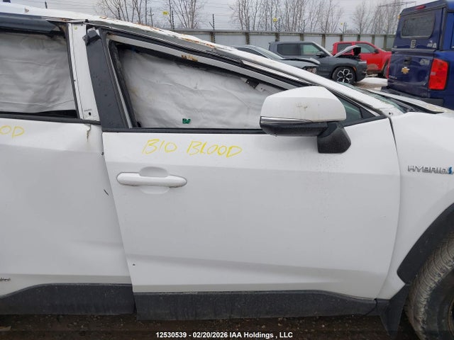 2021 Toyota Rav4 Le მანქანა იყიდება აუქციონზე, vin: 2T3BWRFV3MW106460, აუქციონის ნომერი: 12530539