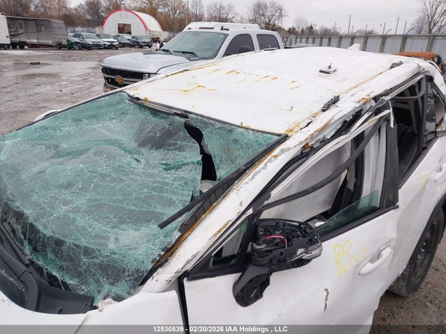 2021 Toyota Rav4 Le მანქანა იყიდება აუქციონზე, vin: 2T3BWRFV3MW106460, აუქციონის ნომერი: 12530539