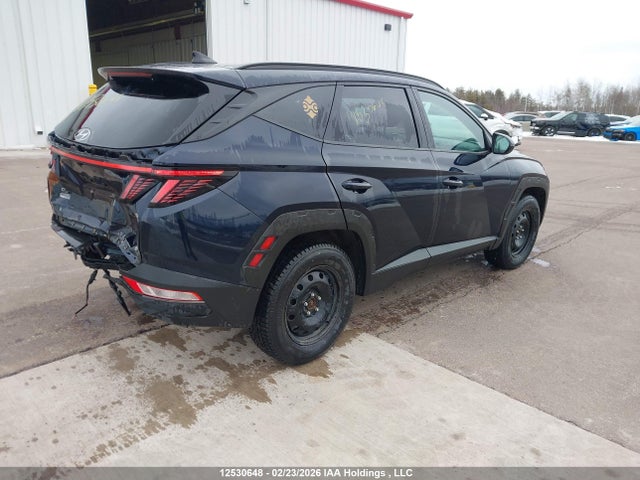 12530648 :رقم المزاد ، KM8JCCAEXPU250982 vin ، 2023 Hyundai Tucson Sel مزاد بيع