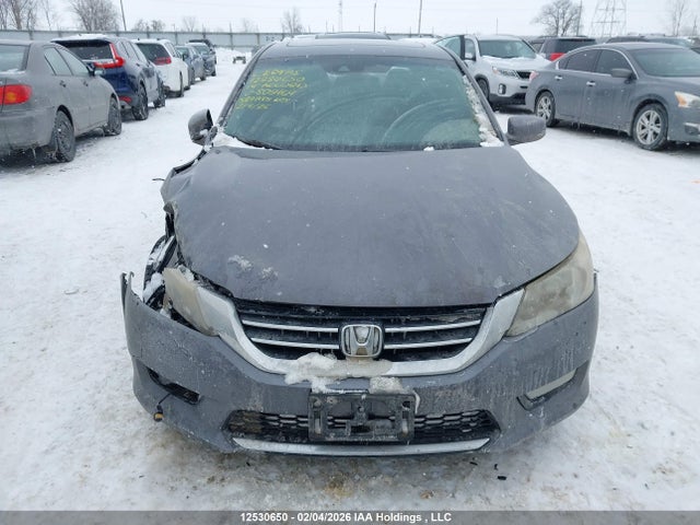 2014 Honda Accord Touring მანქანა იყიდება აუქციონზე, vin: 1HGCR2F91EA805464, აუქციონის ნომერი: 12530650