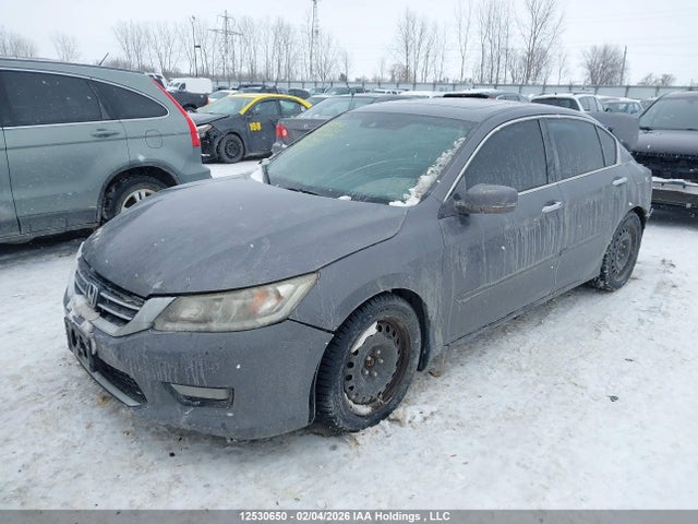 2014 Honda Accord Touring მანქანა იყიდება აუქციონზე, vin: 1HGCR2F91EA805464, აუქციონის ნომერი: 12530650