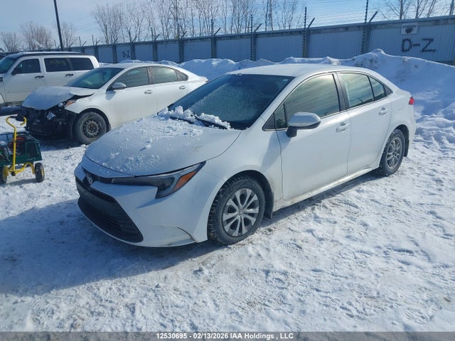 JTDBCMFE1PJ002998 Toyota Corolla Hybrid Le