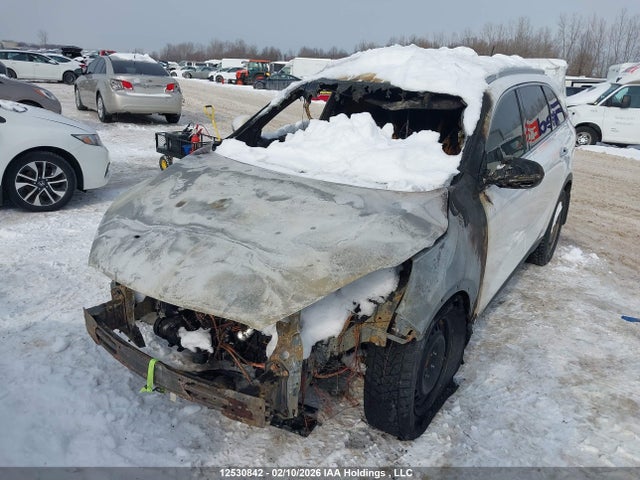 5XYPHDA19GG033590 KIA Sorento