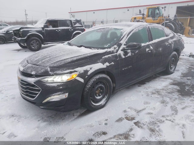 1G1ZE5ST9PF155255 Chevrolet MALIBU 2LT