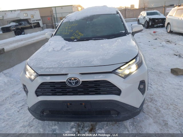 2T3R1RFV1RW436960 Toyota Rav4 Xle/xle Premium