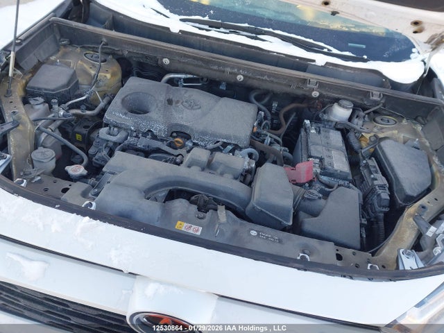 2T3R1RFV1RW436960 Toyota Rav4 Xle/xle Premium