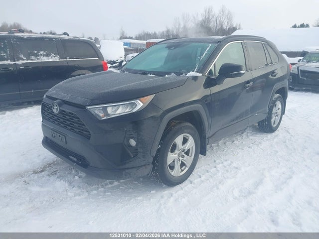 2T3R1RFV1LW086690 Toyota Rav4 Xle