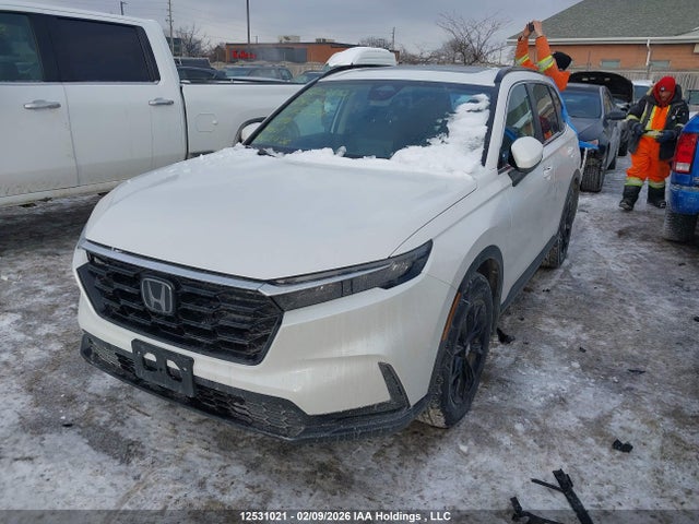 2HKRS4H56RH115534 Honda Cr-v Sport