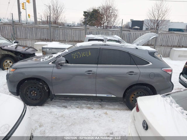 12531026 :رقم المزاد ، JTJBC1BA3D2437851 vin ، 2013 Lexus Rx 450 مزاد بيع