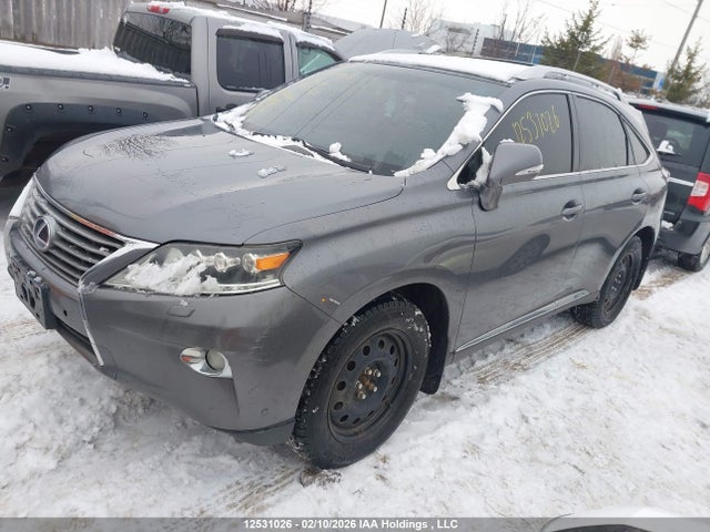 12531026 :رقم المزاد ، JTJBC1BA3D2437851 vin ، 2013 Lexus Rx 450 مزاد بيع