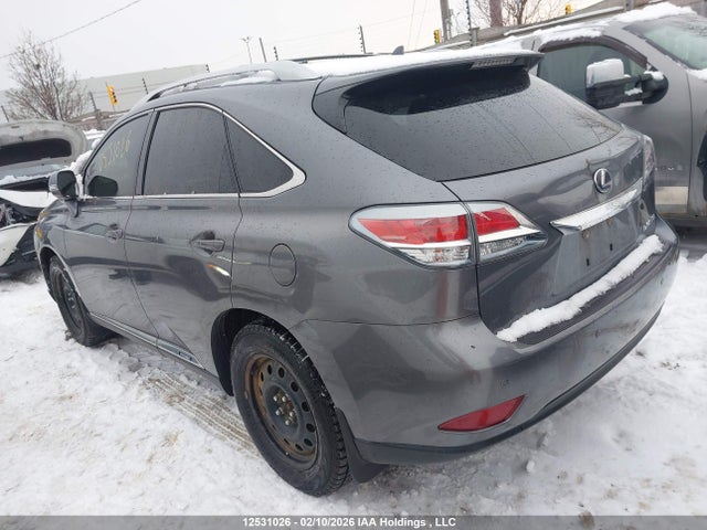 12531026 :رقم المزاد ، JTJBC1BA3D2437851 vin ، 2013 Lexus Rx 450 مزاد بيع