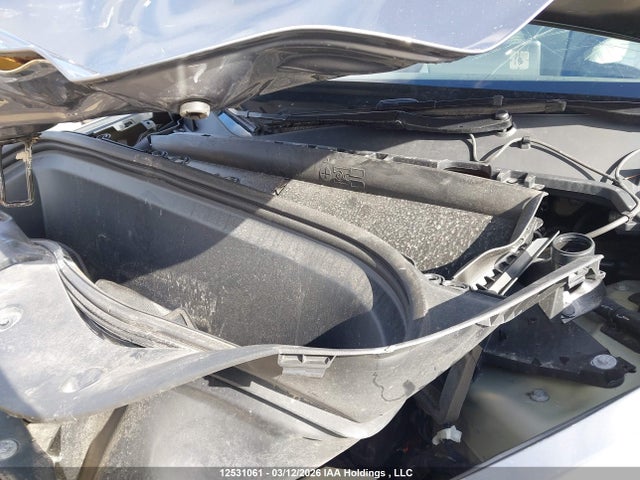 Aukcja sprzedaży 2024 Tesla Model Y, vin: 7SAYGDEE8RF177469, numer aukcji: 12531061
