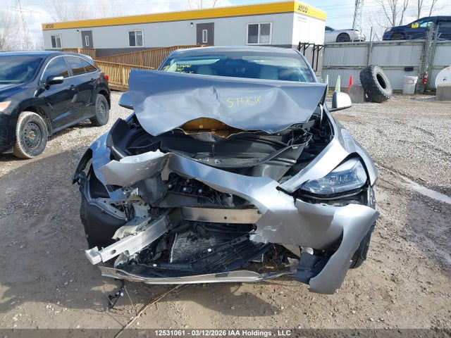 Aukcja sprzedaży 2024 Tesla Model Y, vin: 7SAYGDEE8RF177469, numer aukcji: 12531061