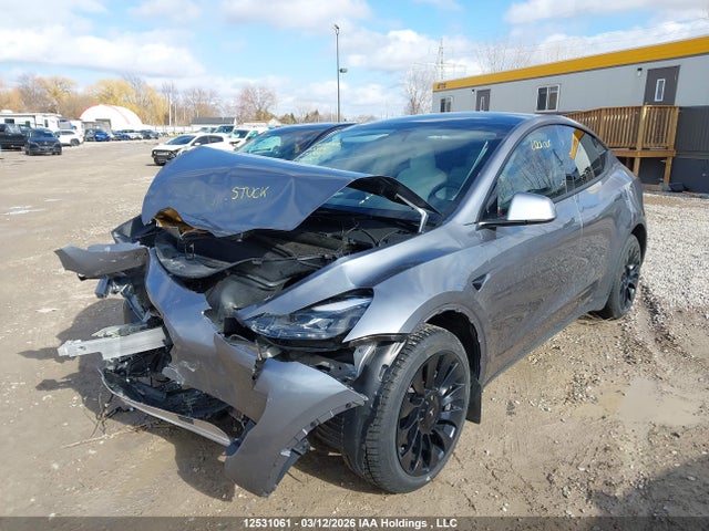 Aukcja sprzedaży 2024 Tesla Model Y, vin: 7SAYGDEE8RF177469, numer aukcji: 12531061