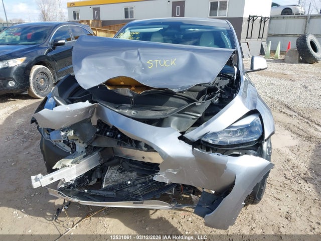 Aukcja sprzedaży 2024 Tesla Model Y, vin: 7SAYGDEE8RF177469, numer aukcji: 12531061
