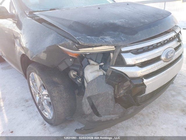Ford EDGE SEL 2014 2FMDK4JC2EBB08049 Image 6