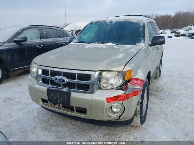 12531156 :رقم المزاد ، 1FMCU0D70CKA11870 vin ، 2012 Ford Escape Xlt مزاد بيع