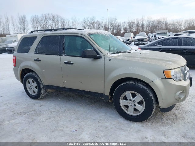 12531156 :رقم المزاد ، 1FMCU0D70CKA11870 vin ، 2012 Ford Escape Xlt مزاد بيع
