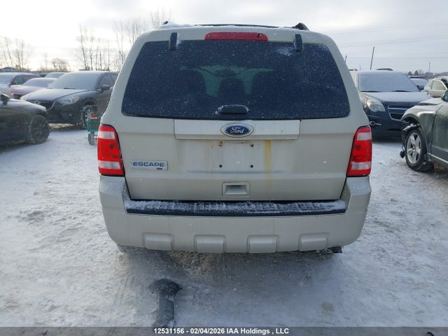 12531156 :رقم المزاد ، 1FMCU0D70CKA11870 vin ، 2012 Ford Escape Xlt مزاد بيع