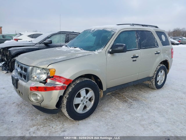 12531156 :رقم المزاد ، 1FMCU0D70CKA11870 vin ، 2012 Ford Escape Xlt مزاد بيع