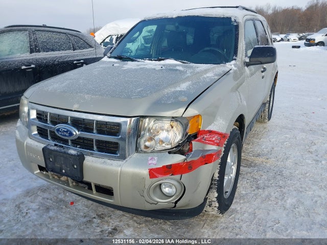 12531156 :رقم المزاد ، 1FMCU0D70CKA11870 vin ، 2012 Ford Escape Xlt مزاد بيع