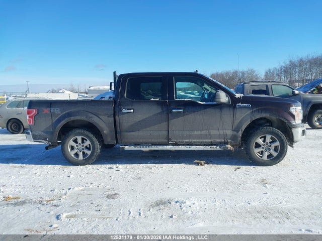Ford F150 Supercrew 2019 1FTEW1EP9KKC56631 Image 14