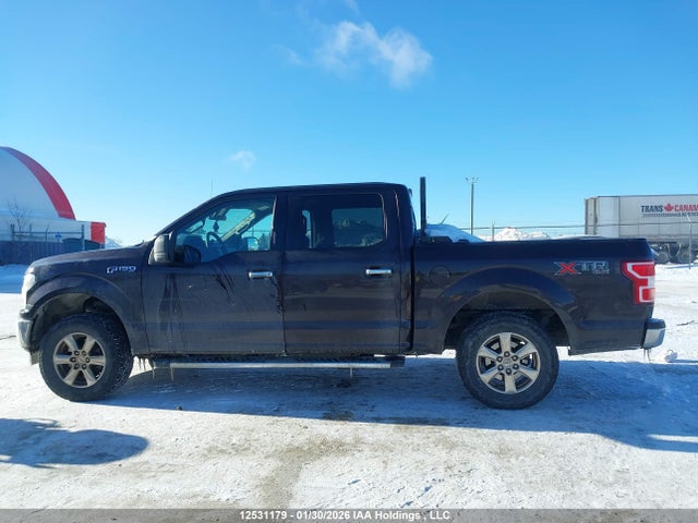 Ford F150 Supercrew 2019 1FTEW1EP9KKC56631 Image 15
