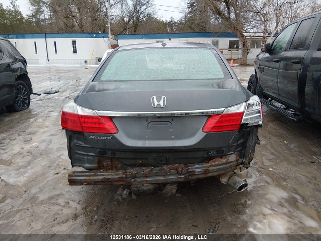 Aukcja sprzedaży 2013 Honda Accord Exl, vin: 1HGCR2F80DA804330, numer aukcji: 12531186
