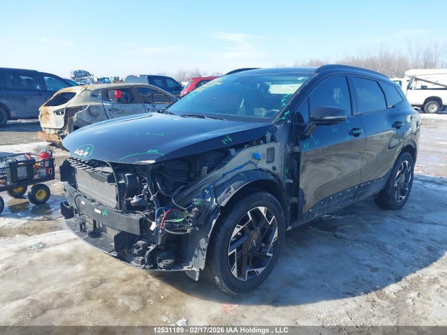 Продажа на аукционе авто 2024 Kia Sportage Ex/ex Premium W/black Interior/ex Premium W/red Interior, vin: KNDPVCDF1R7248259, номер лота: 12531189