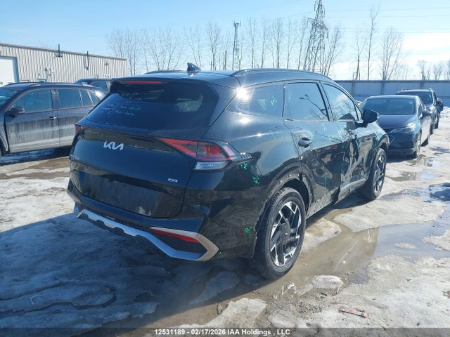 Продажа на аукционе авто 2024 Kia Sportage Ex/ex Premium W/black Interior/ex Premium W/red Interior, vin: KNDPVCDF1R7248259, номер лота: 12531189