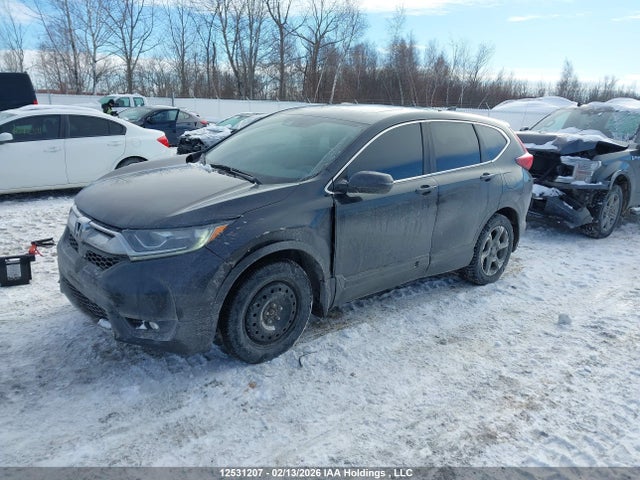 2HKRW2H58KH102928 Honda CR-V