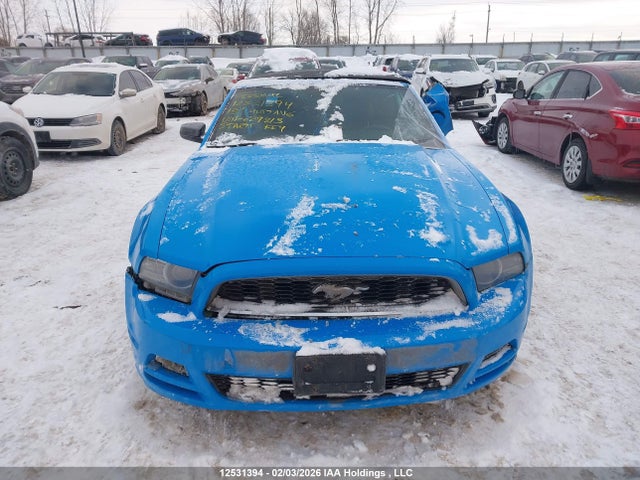 Aukcja sprzedaży 2013 Ford Mustang, vin: 1ZVBP8EM7D5229313, numer aukcji: 12531394