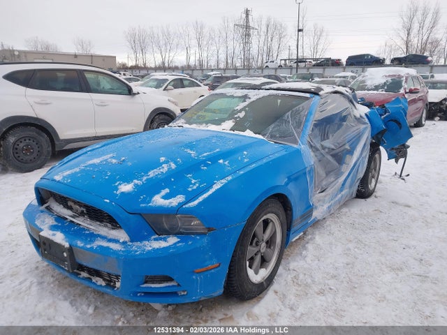 Aukcja sprzedaży 2013 Ford Mustang, vin: 1ZVBP8EM7D5229313, numer aukcji: 12531394