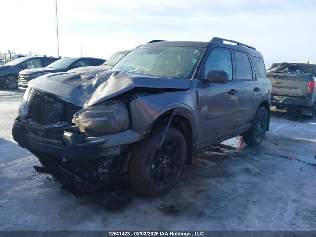 2025 Ford Bronco Sport Big Bend მანქანა იყიდება აუქციონზე, vin: 3FMCR9BN4SRF18269, აუქციონის ნომერი: 12531423