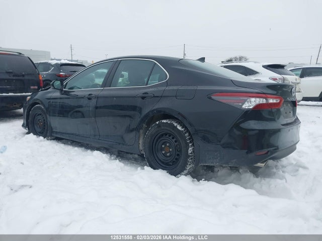 4T1B21HKXNU018404 Toyota Camry Xle/se