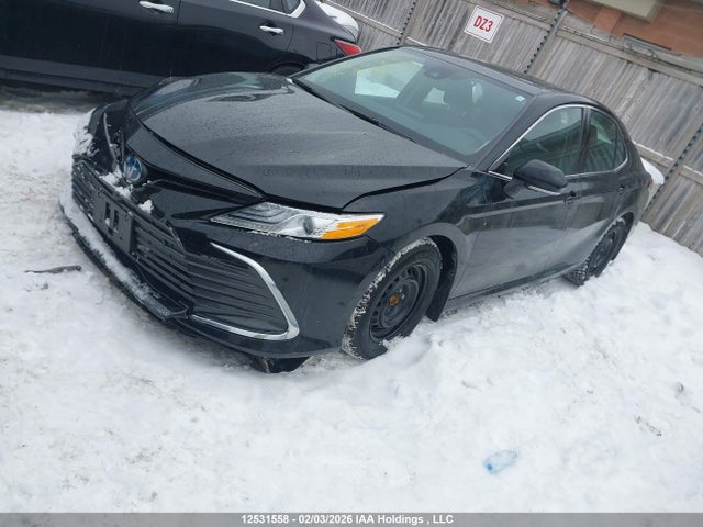 4T1B21HKXNU018404 Toyota Camry Xle/se