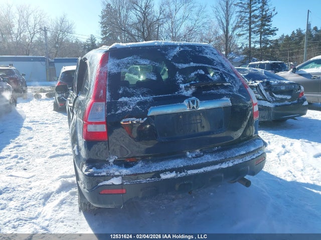 Aukcja sprzedaży 2007 Honda Cr-v Ex, vin: 5J6RE485X7L804163, numer aukcji: 12531624