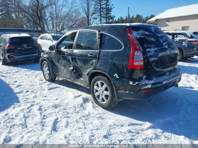 Aukcja sprzedaży 2007 Honda Cr-v Ex, vin: 5J6RE485X7L804163, numer aukcji: 12531624