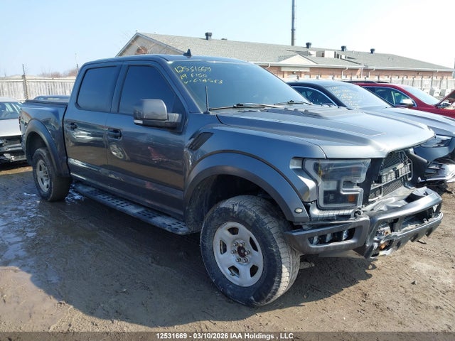 Aukcja sprzedaży 2019 Ford F-150, vin: 1FTFW1RG7KFC14563, numer aukcji: 12531669