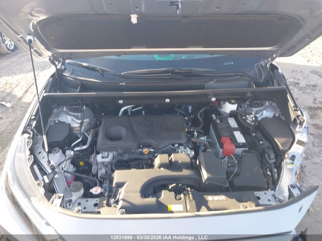 2025 Toyota Rav4 Xle/xle Premium მანქანა იყიდება აუქციონზე, vin: 2T3R1RFV4SC558493, აუქციონის ნომერი: 12531699