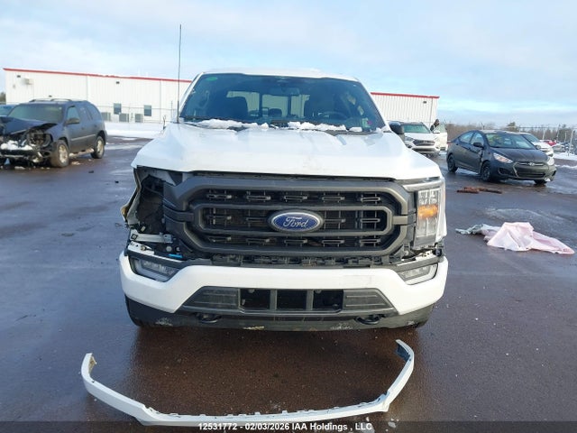 Aukcja sprzedaży 2023 Ford F-150 Xlt, vin: 1FTFW1E50PFC53877, numer aukcji: 12531772