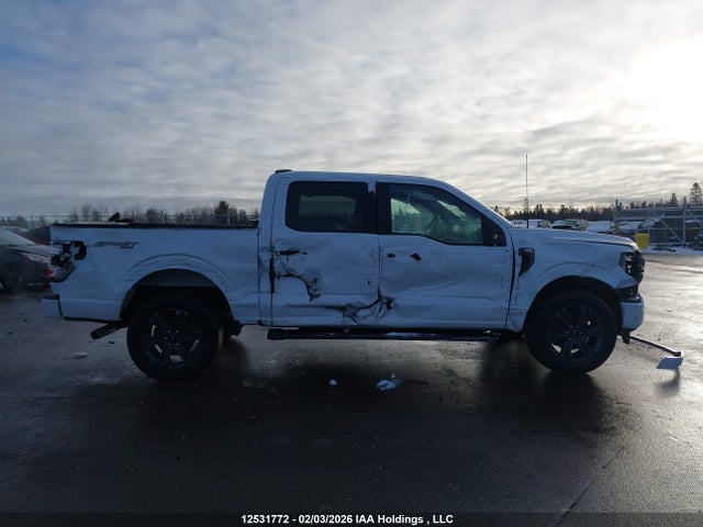 Aukcja sprzedaży 2023 Ford F-150 Xlt, vin: 1FTFW1E50PFC53877, numer aukcji: 12531772