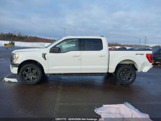 Aukcja sprzedaży 2023 Ford F-150 Xlt, vin: 1FTFW1E50PFC53877, numer aukcji: 12531772