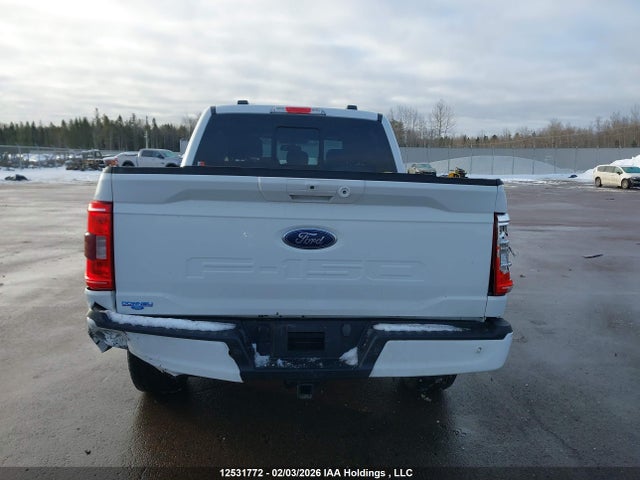 Aukcja sprzedaży 2023 Ford F-150 Xlt, vin: 1FTFW1E50PFC53877, numer aukcji: 12531772