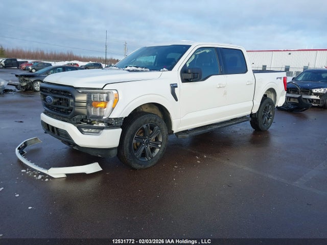 Aukcja sprzedaży 2023 Ford F-150 Xlt, vin: 1FTFW1E50PFC53877, numer aukcji: 12531772
