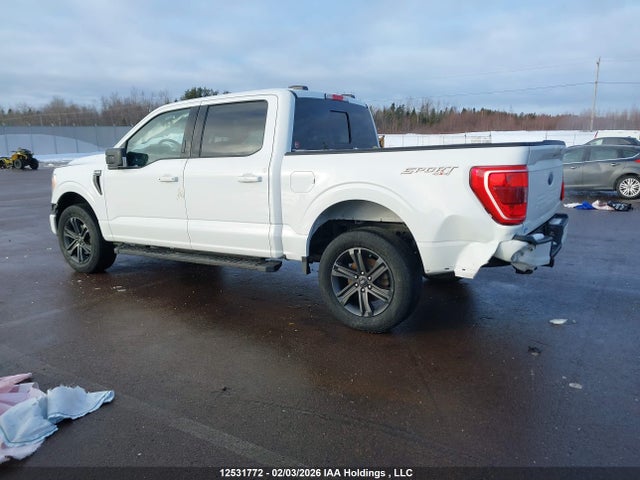 Aukcja sprzedaży 2023 Ford F-150 Xlt, vin: 1FTFW1E50PFC53877, numer aukcji: 12531772