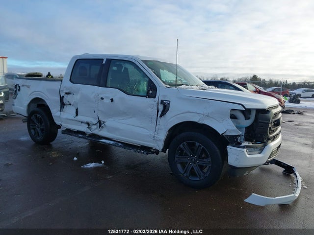 Aukcja sprzedaży 2023 Ford F-150 Xlt, vin: 1FTFW1E50PFC53877, numer aukcji: 12531772