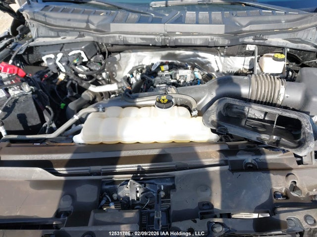 Продажа на аукционе авто 2024 Ford F150 Xlt, vin: 1FTEW3LP6RKE36500, номер лота: 12531786