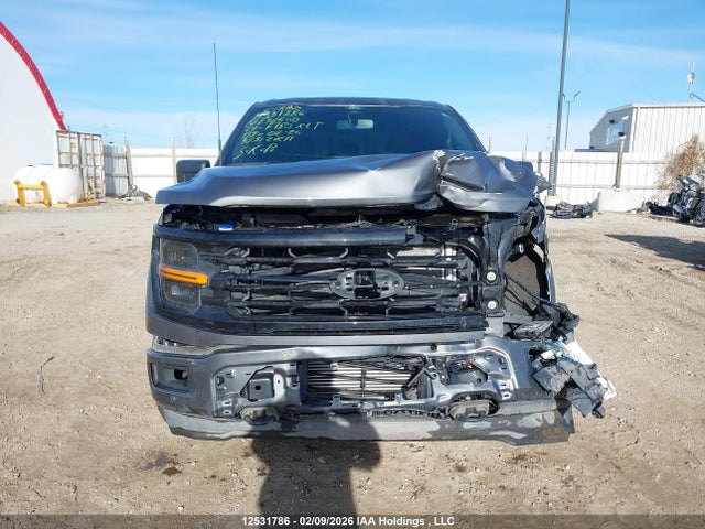 Продажа на аукционе авто 2024 Ford F150 Xlt, vin: 1FTEW3LP6RKE36500, номер лота: 12531786